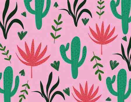 rosa plantas vegetal cactus
