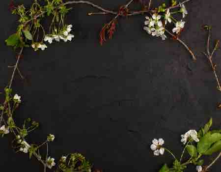 pizarra negra con flores fondo rÃºstico