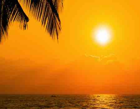 horizonte naranja sol palmas